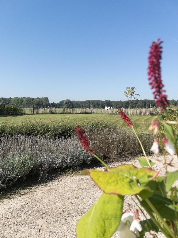 Het Veldhuis Beuningen  Esterno foto